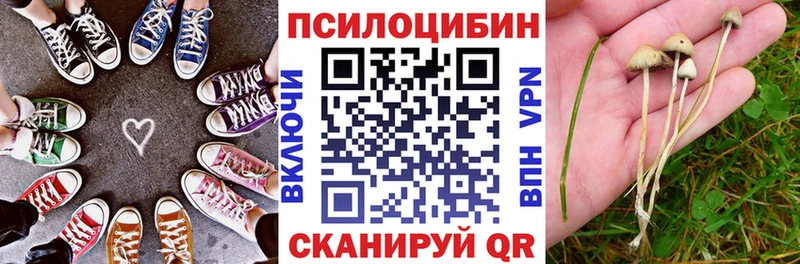Галлюциногенные грибы Cubensis  Агрыз 
